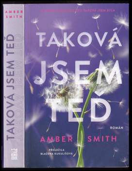 Amber Smith: Taková jsem teď
