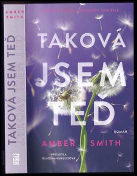 Amber Smith: Taková jsem teď