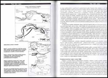 Kenneth Macksey: Tank proti tanku