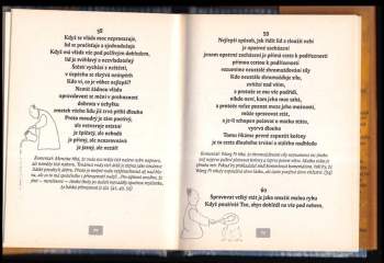 Laozi: Tao te ťing