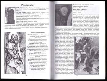 Bohumil Vurm: Tarot a hledání smyslu života