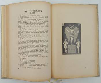 Pierre de Lasenic: Tarot