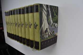 Edgar Rice Burroughs: Tarzanova dobrodružství v džungli