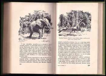 Edgar Rice Burroughs: Tarzan 1 - 10 + Dobrodružství v džungli - Syn divočiny + Vězeň pralesa + Návrat z džungle + Lovec s vrcholků stromů + Veliký Bwana + Zkrocené šelmy + Pán lvů + Leopardí muži + Lidé v jeskyních + Trpasličí muži