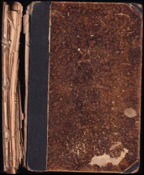 Tarzan III - Tarzanovy šelmy