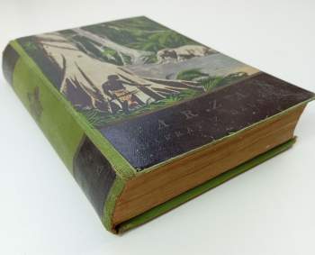Edgar Rice Burroughs: Tarzan - Návrat z džungle