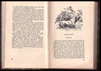 Edgar Rice Burroughs: Tarzan
