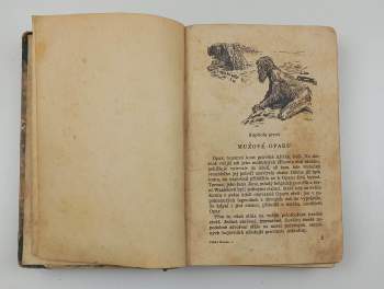 Edgar Rice Burroughs: Tarzan
