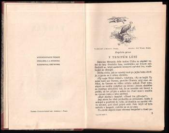 Edgar Rice Burroughs: Tarzan