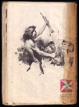Edgar Rice Burroughs: Tarzan syn divočiny