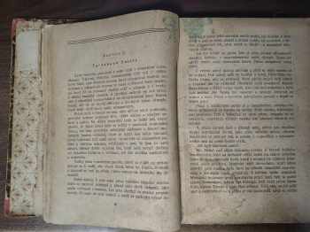 Edgar Rice Burroughs: Tarzan