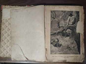 Edgar Rice Burroughs: Tarzan