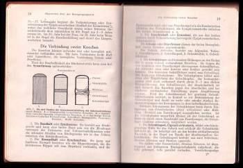 Hermann Voss: Taschenbuch der Anatomie
