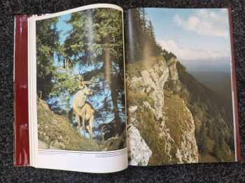 Vladimír Ferko: Tatry
