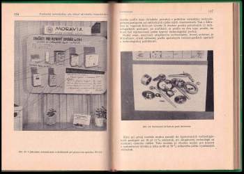 Anton Raško: Technická normalizácia