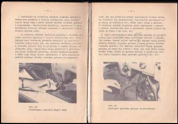 Oľga Reháková: Technológia