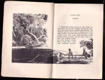 Robert Beholz: Tekumtha