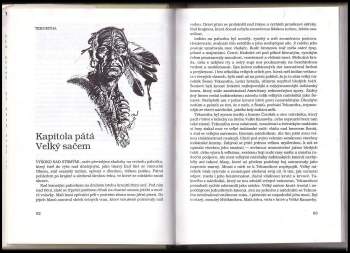 Robert Beholz: Tekumtha, poslední velký Šoní