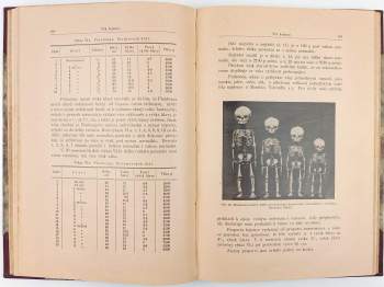 Carl Heinrich Stratz: Tělo dítěte
