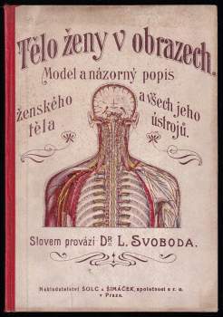 Tělo ženy v obrazech