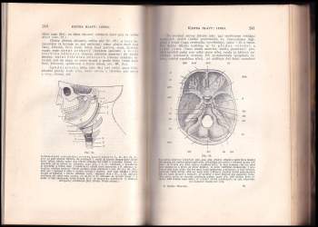Edward Babák: Tělověda