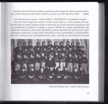 Miroslav Macháček: Téma Macháček