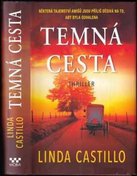 Linda Castillo: Temná cesta