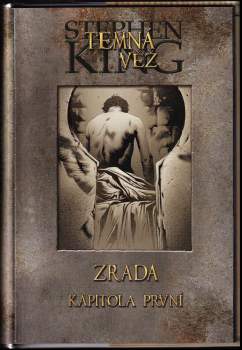 Peter David: Temná věž