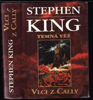 Temná věž
