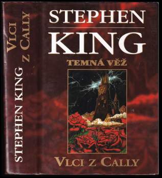 Temná věž