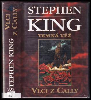 Stephen King: Temná věž