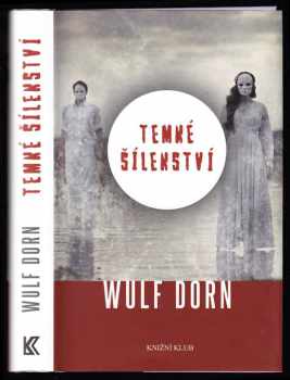 Wulf Dorn: Temné šílenství