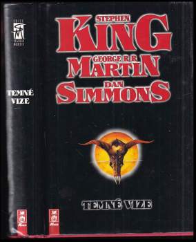 Temné vize