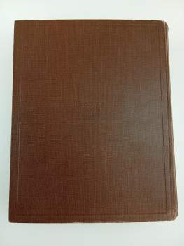 Alois Jirásek: Temno