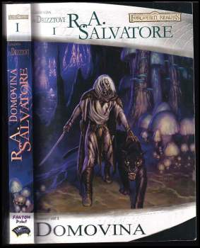 R. A Salvatore: Temný elf