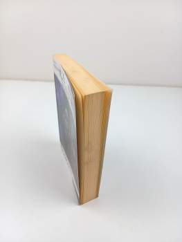 R. A Salvatore: Temný elf