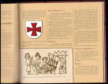 Templarius Bohemicus: Templáři v zemích českých králů