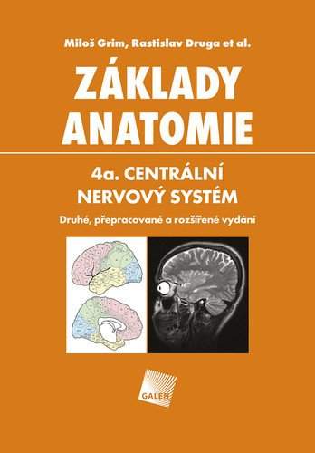 Základy anatomie