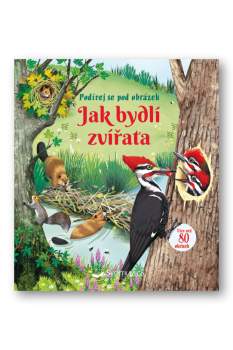 Jak bydlí zvířata