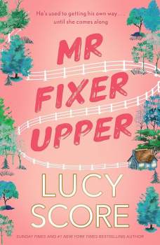 Mr fixer upper
