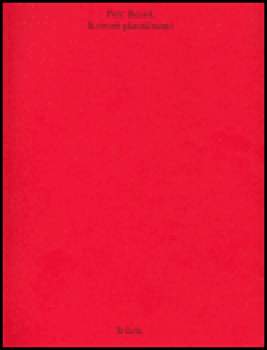 K teorii plastičnosti