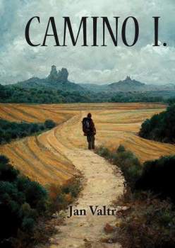 Camino