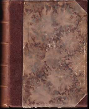 Alexandre Dumas: Salvator