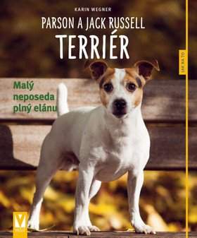 Parson a Jack Russell terriér
