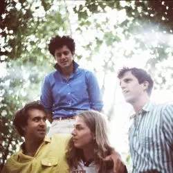 The Vaccines