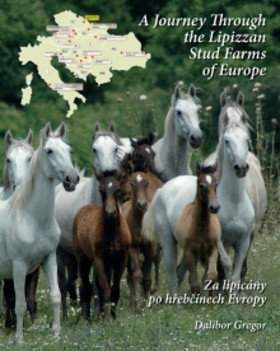 A journey through the Lipizzan stud farms of Europe