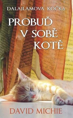 Dalajlamova kočka - probuď v sobě kotě