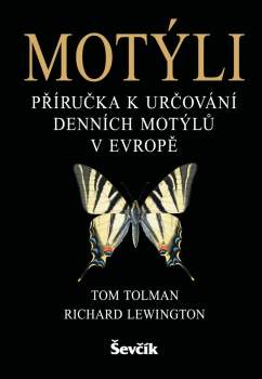 Motýli