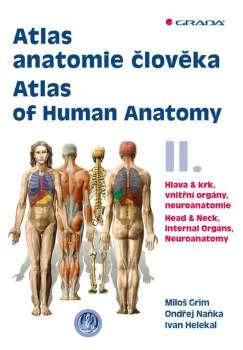 Atlas anatomie člověka