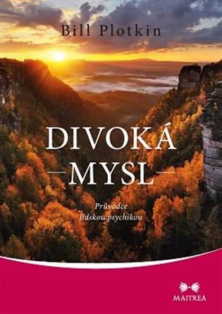 Divoká mysl
